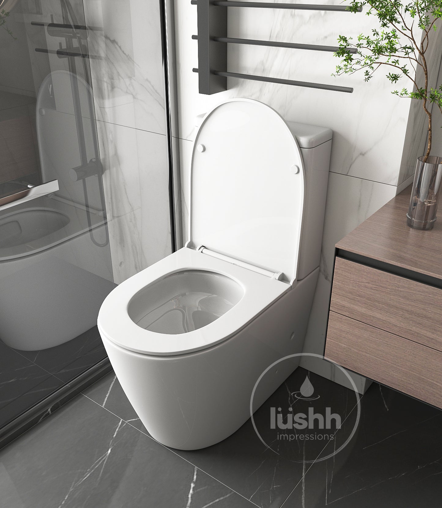 Lotus Accessbile Back To Wall Toilet Suite