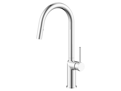 Ivy Discrete Stainless Steel Pullout Mixer with Vegie Spray Chrome