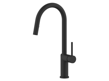 Ivy Discrete Stainless Steel Pullout Mixer with Vegie Spray Matte Black