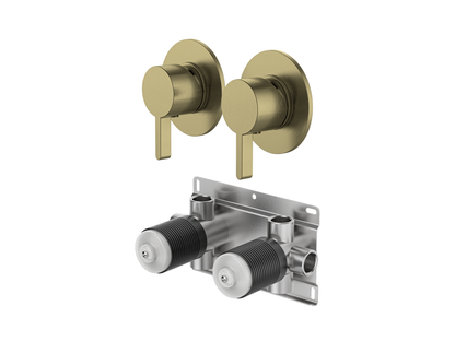 Lotus Twin Shower/Bath Mixer Separate Plates