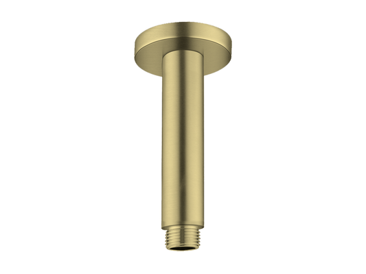 Maple 120mm Ceiling Arm Brushed Gold