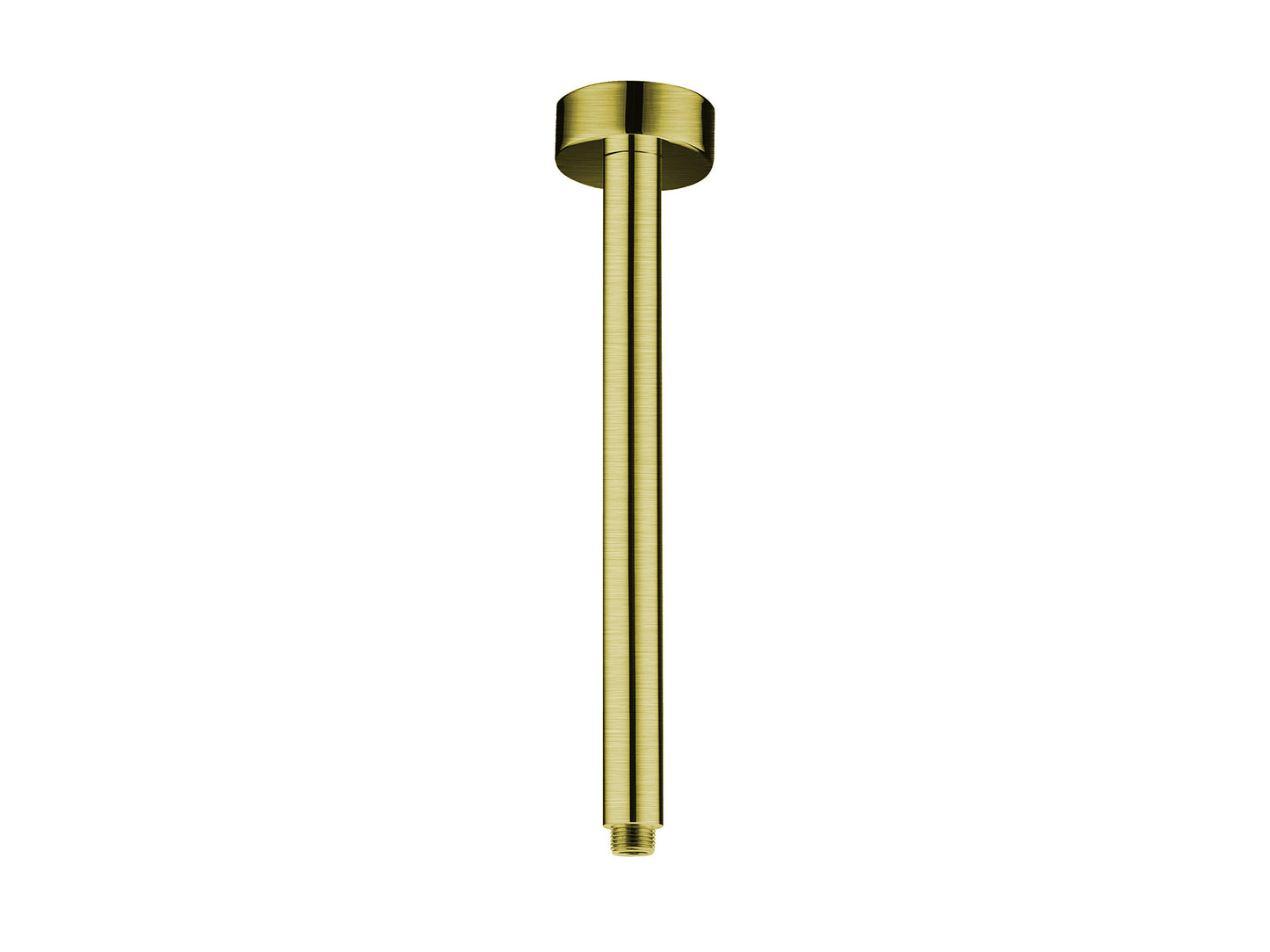 Maple 300mm Ceiling Arm Brushed Gold